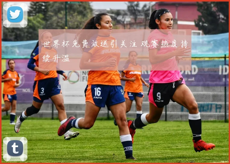 世界杯免费放送引关注 观赛热度持续升温