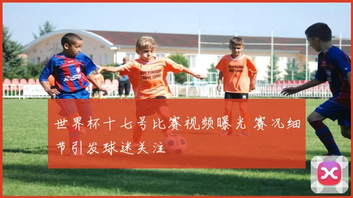 世界杯十七号比赛视频曝光 赛况细节引发球迷关注