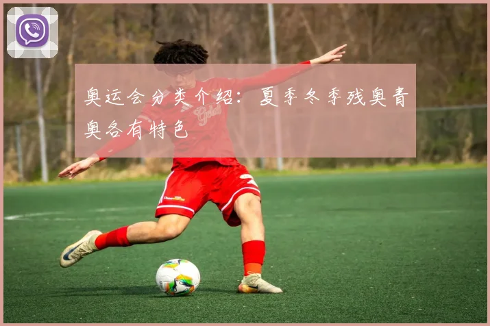 奥运会分类介绍：夏季冬季残奥青奥各有特色